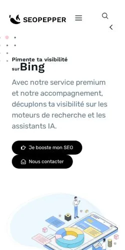 Preview of the SEOPepper website, a media outlet in France for sponsored articles