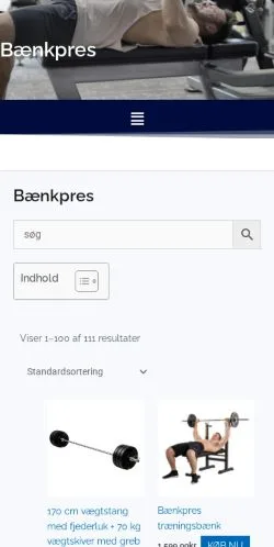 Pré-visualização do site bænkpres.dk, meio de Dinamarca para artigos patrocinados
