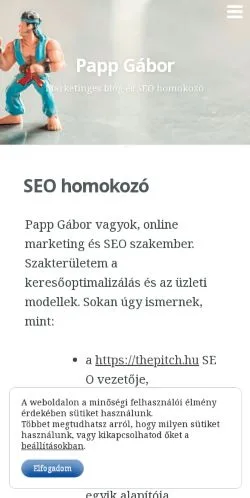 Voorbeeld van de site SEO Homokozó, medium uit Verenigde Staten voor gesponsorde artikelen