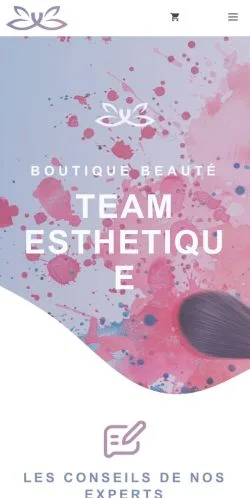Anteprima del sito Team Esthetique, media di Francia per articoli sponsorizzati