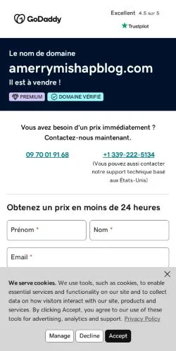 Podgląd witryny A Merry Mishap Blog, medium z kraju Stany Zjednoczone do artykułów sponsorowanych