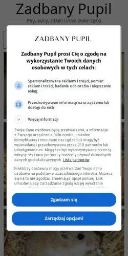 Podgląd witryny Zadbany Pupil, medium z kraju Polska do artykułów sponsorowanych