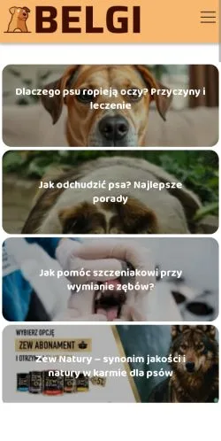 Forhåndsvisning af Belgi Portal, medie fra Polen til sponsorerede artikler