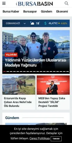 Aperçu du site Bursa Basın, média de Turquie pour articles sponsorisés