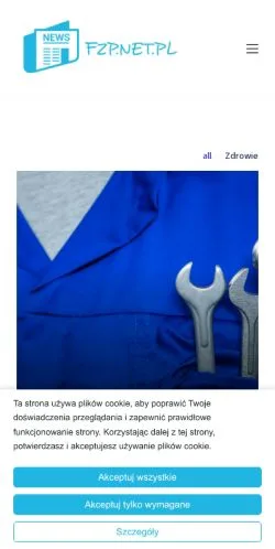 Podgląd witryny Fzp.net.pl, medium z kraju Polska do artykułów sponsorowanych