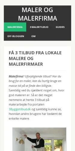 Anteprima del sito Malerfirma, media di Danimarca per articoli sponsorizzati