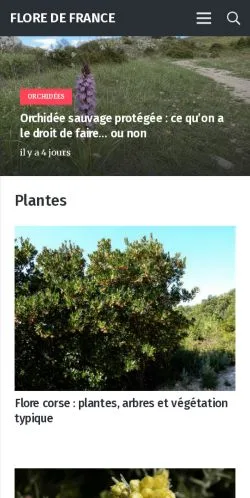 Anteprima del sito Flore de France, media di Francia per articoli sponsorizzati