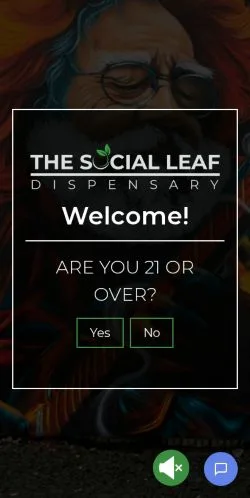 스폰서 기사용 미국 매체 The Social Leaf 사이트 미리보기