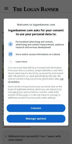 Sponsorlu makaleler için Amerika Birleşik Devletleri medyası loganbanner.com sitesinin önizlemesi