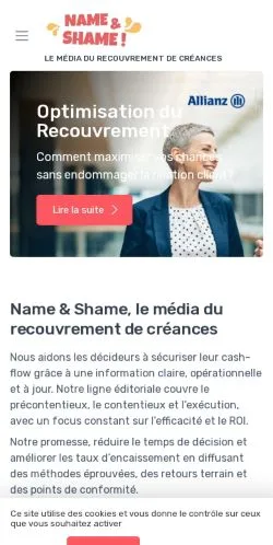 Podgląd witryny Name & Shame, medium z kraju Francja do artykułów sponsorowanych