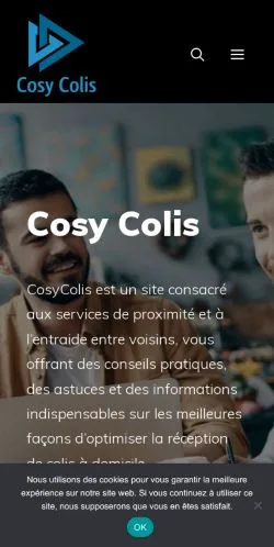 Podgląd witryny Cosy Colis, medium z kraju Francja do artykułów sponsorowanych