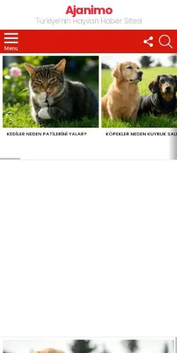Preview of the Ajanimo website, a media outlet in Türkiye for sponsored articles