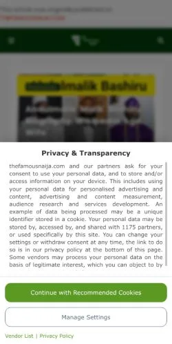 Anteprima del sito TheFamousNaija, media di Stati Uniti per articoli sponsorizzati