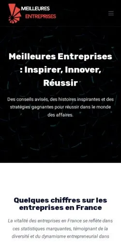 Voorbeeld van de site Meilleures Entreprises, medium uit Frankrijk voor gesponsorde artikelen