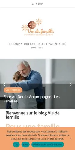 Podgląd witryny Vie De Famille, medium z kraju Francja do artykułów sponsorowanych