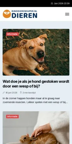 Podgląd witryny Dinodierensuper Blog, medium z kraju Holandia do artykułów sponsorowanych