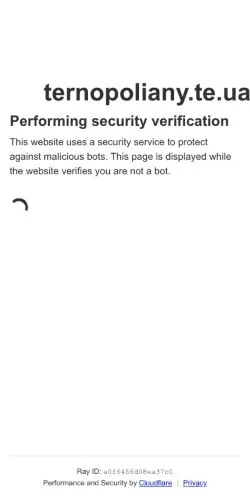 スポンサード記事向けのアメリカ合衆国メディア、Ternopolianyのサイトプレビュー