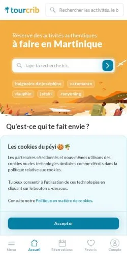Vista previa del sitio Tourcrib, medio de Francia para artículos patrocinados