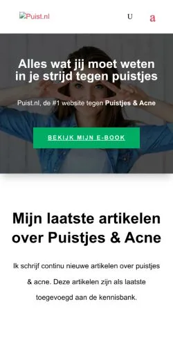スポンサード記事向けのオランダメディア、Puistのサイトプレビュー