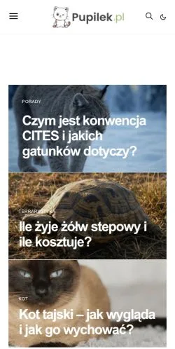 Anteprima del sito Pupilek, media di Polonia per articoli sponsorizzati