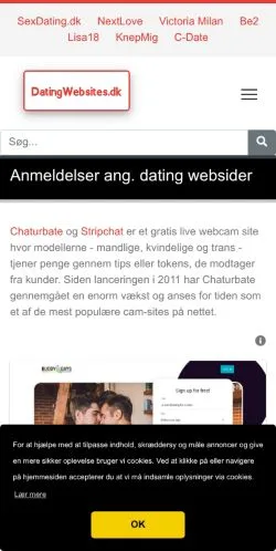 Anteprima del sito DatingWebsites, media di Danimarca per articoli sponsorizzati