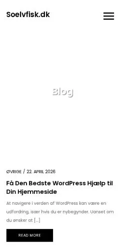 Anteprima del sito Soelvfisk.dk, media di Danimarca per articoli sponsorizzati