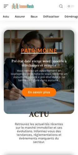Vista previa del sitio ImmoRush, medio de Francia para artículos patrocinados
