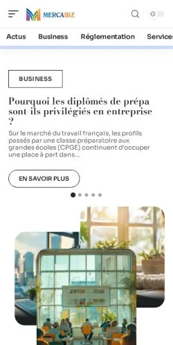 Anteprima del sito MercaBiz, media di Francia per articoli sponsorizzati