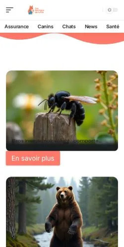 Anteprima del sito Les Animaux de la Fée, media di Francia per articoli sponsorizzati