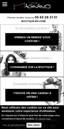 Anteprima del sito Aurélien Magnano Coiffure, media di Francia per articoli sponsorizzati