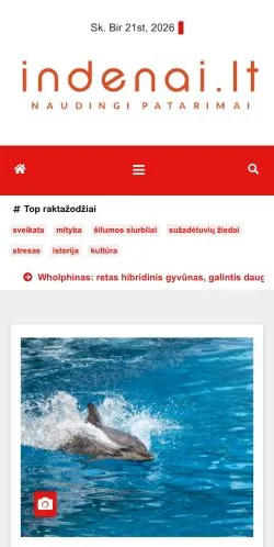 Pré-visualização do site Indenai, meio de Lituânia para artigos patrocinados