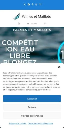Anteprima del sito Palmes et Maillots, media di Francia per articoli sponsorizzati