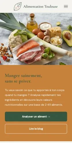 スポンサード記事向けのフランスメディア、Alimentation Toulouseのサイトプレビュー