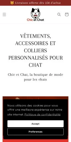 Preview of the Chic Et Chat website, a media outlet in France for sponsored articles