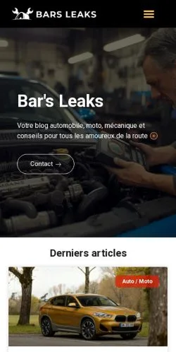 Preview of the Bar's Leaks website, a media outlet in France for sponsored articles