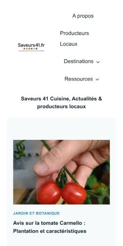 Pré-visualização do site Saveurs 41, meio de França para artigos patrocinados