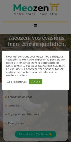 Sponsorlu makaleler için Fransa medyası Meozen sitesinin önizlemesi