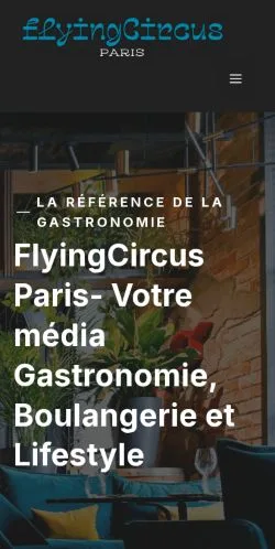 Aperçu du site Flying Circus Paris, média de France pour articles sponsorisés