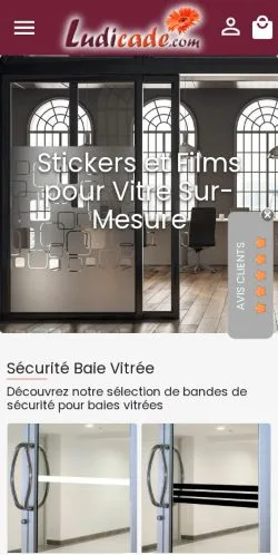 Aperçu du site Ludicade, média de France pour articles sponsorisés