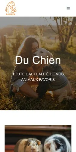 스폰서 기사 게재 매체로 등록된 Du Chien 사이트 미리보기