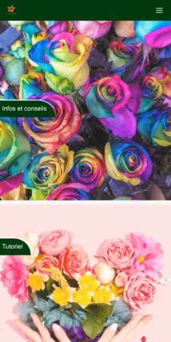 Anteprima del sito Camelia Jordana, referenziato per la pubblicazione di articoli sponsorizzati