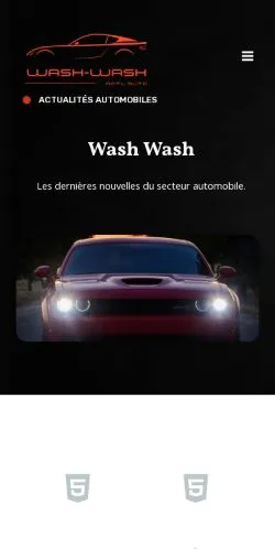 Sponsorlu makale yayını için listelenen Wash Wash sitesinin önizlemesi