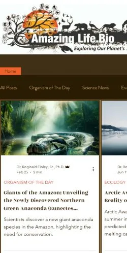 Preview of the AmazingLife website, listed for sponsored article publication