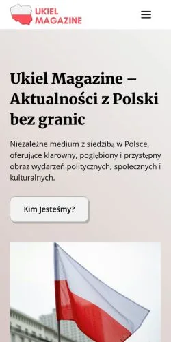 スポンサード記事の掲載先として登録されたUkiel Magazineのサイトプレビュー
