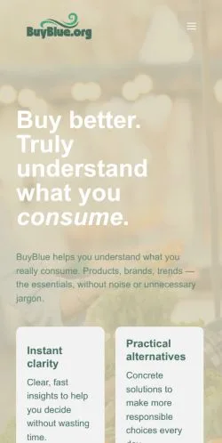 Anteprima del sito BuyBlue, referenziato per la pubblicazione di articoli sponsorizzati
