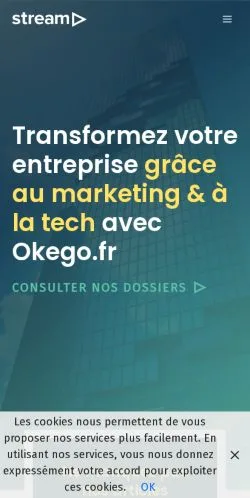 Anteprima del sito Okego Business Marketing, referenziato per la pubblicazione di articoli sponsorizzati