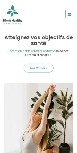 Vorschau der Website Maigrir Du Ventre, gelistet für die Veröffentlichung gesponserter Artikel