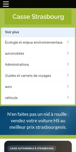 Vista previa del sitio Casse Auto Strasbourg, referenciado para publicar artículos patrocinados
