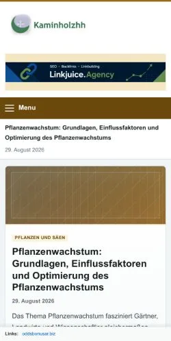 Anteprima del sito Kaminholz HH, referenziato per la pubblicazione di articoli sponsorizzati