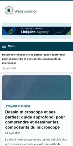 Anteprima del sito Websy Agency, referenziato per la pubblicazione di articoli sponsorizzati